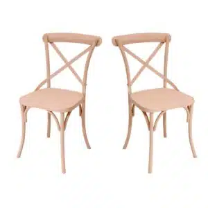 Metal Exotic Hue Chair For Home Set of 2